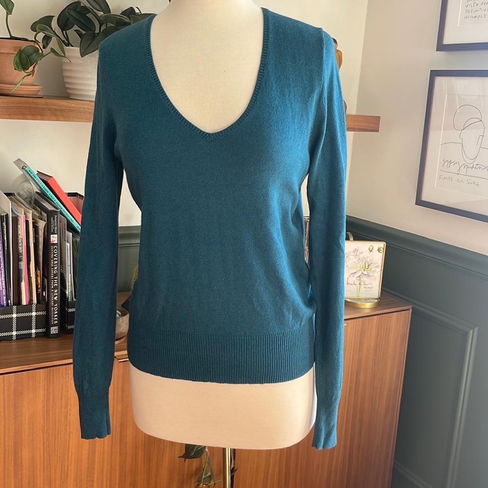 Express Deeign Studio Cashmere and Silk Sweater